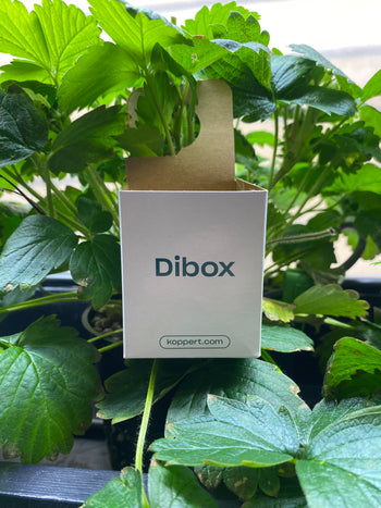 Beneficial Dibox (07401)